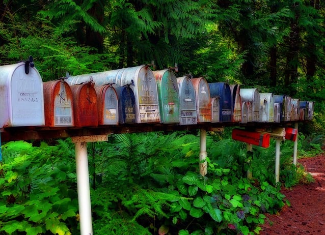 Line of colorful mailboxes against lush, green foliage backdrop